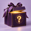 Premium Mystery Box
